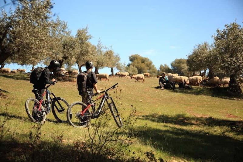 Granada: Nature, Wildlife and Authentic Villages E-bike Tour - Leaving Granada for mountain air