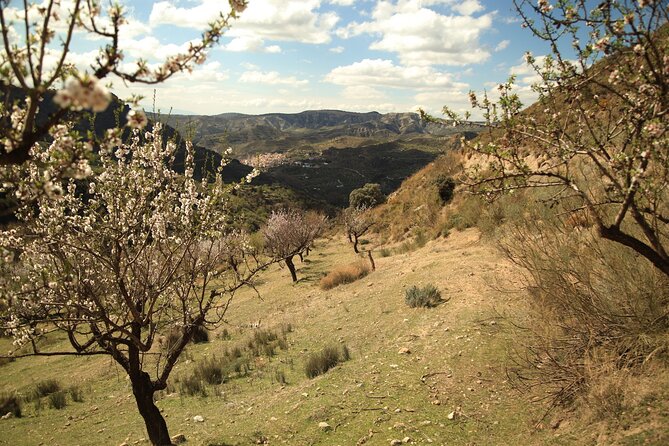 Granada: Nature, Wildlife and Authentic Villages E-bike Tour - Guides make the difference