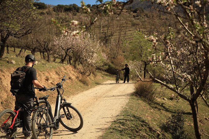 Granada: Nature, Wildlife and Authentic Villages E-bike Tour - Weather and seasonal planning