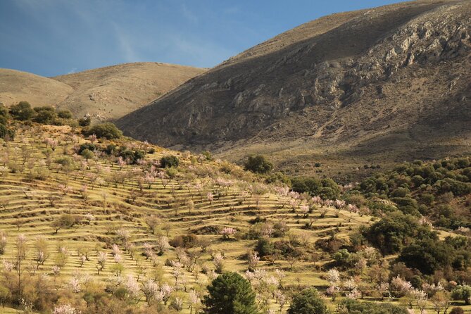 Granada: Nature, Wildlife and Authentic Villages E-bike Tour - The Sierra Nevada section takes up most of the day