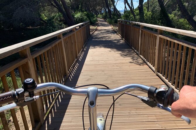GRAND CITY Private Guided Tour on Bike, E-Bike, E-Step or Segway - Serranos Towers and the old fortifications