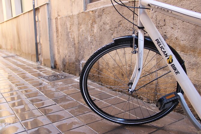 GRAND CITY Private Guided Tour on Bike, E-Bike, E-Step or Segway - Forty minutes through the Turia Gardens