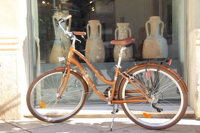 GRAND CITY Private Guided Tour on Bike, E-Bike, E-Step or Segway - Cathedral views at Plaça de la Reina