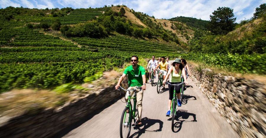 Grape Grazing: Wachau Valley Winery Biking Tour - The train from Vienna to Krems starts the day gently