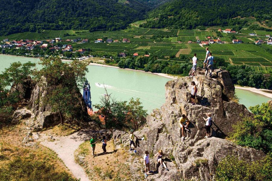 Grape Grazing: Wachau Valley Winery Biking Tour - What the wine tastings are really like