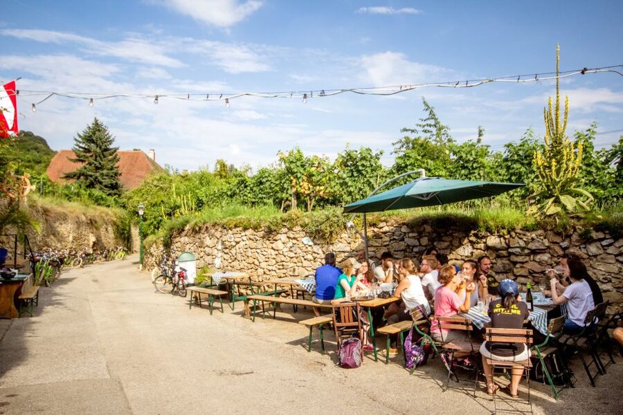 Grape Grazing: Wachau Valley Winery Biking Tour - The final ride returns you to Krems