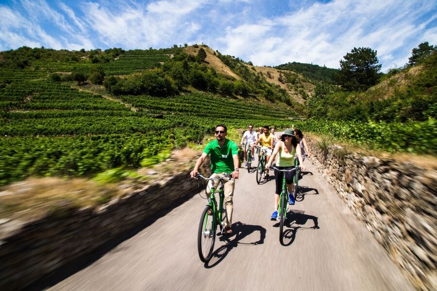 Grape Grazing: Wachau Valley Winery Biking Tour - Krems to Dürnstein: your first taste of the valley