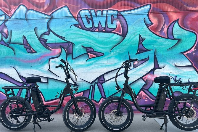 Guided Asheville E-bike Tour of River Arts, Mountains and Murals - Why this route gives you a better first look at Asheville