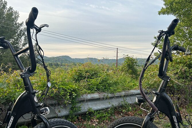 Guided Asheville E-bike Tour of River Arts, Mountains and Murals - French Broad River Park brings shade and breathing room