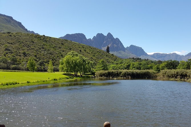 Guided Bike Tour of Stellenbosch - What the guides add to the morning