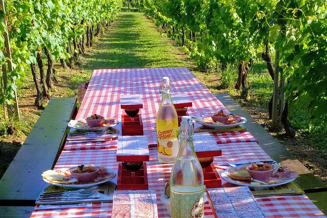 Guided E-Bike Tour with Wine Tasting from Lucca - Key points to know before you book