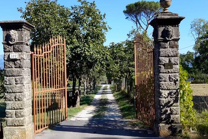 Guided E-Bike Tour with Wine Tasting from Lucca - Why the Lucca walls are the right place to start