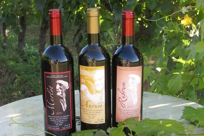 Guided E-Bike Tour with Wine Tasting from Lucca - The guides make a real difference