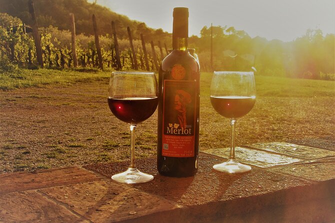 Guided E-Bike Tour with Wine Tasting from Lucca - What the e-bike ride is really like