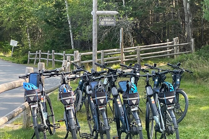 Guided Ebike Tour of Acadia National Park Carriage Roads - Witch Hole Pond and Duck Brook Bridge