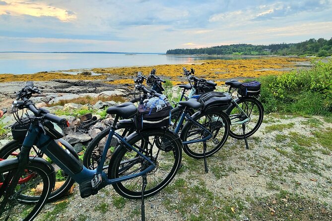 Guided Ebike Tour of Acadia National Park Carriage Roads - Jordan Pond, bridges, and a practical break