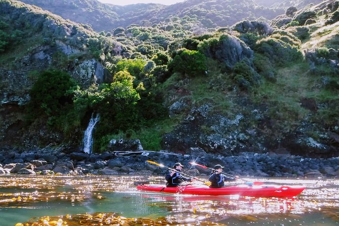 Guided Electric Mountain Bike & Sea Kayak Tour in Akaroa - Crater views and guide photos at the high point
