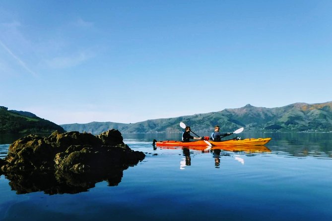 Guided Electric Mountain Bike & Sea Kayak Tour in Akaroa - 11:30 a.m. moves from pedals to paddles
