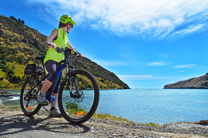 Guided Electric Mountain Bike & Sea Kayak Tour in Akaroa - Is the $192.38 price fair?