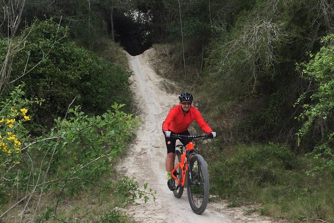 Guided mountain bike route - "Pata Negra" Tour - Starting in Dénia at 8:30 am