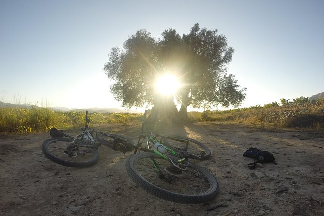 Guided mountain bike route - "Pata Negra" Tour - Electric assistance without losing the ride