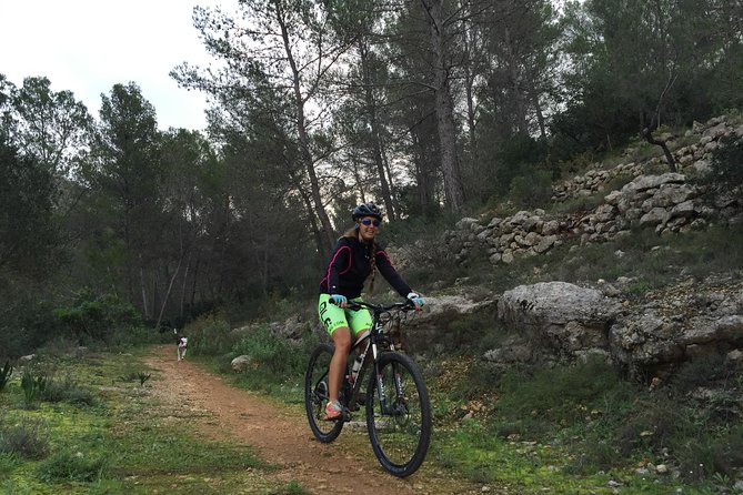 Guided mountain bike route - "Pata Negra" Tour - A terrace-bar stop for coffee and pastries