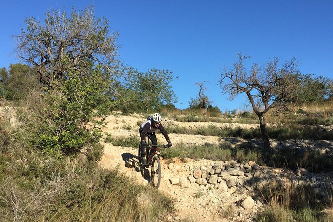Guided mountain bike route - "Pata Negra" Tour - What the $90.70 price gets you