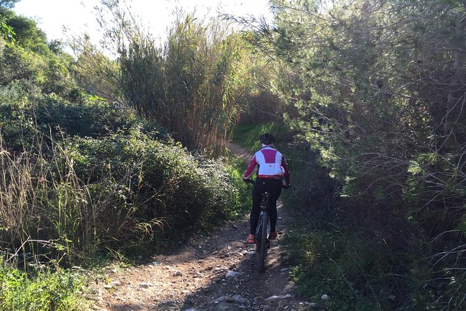 Guided mountain bike route - "Pata Negra" Tour - Timing, weather, and cancellation details