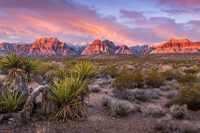 Guided Mountain Bike Tour of Mustang Trail in Red Rock Canyon - Key points to know before you ride