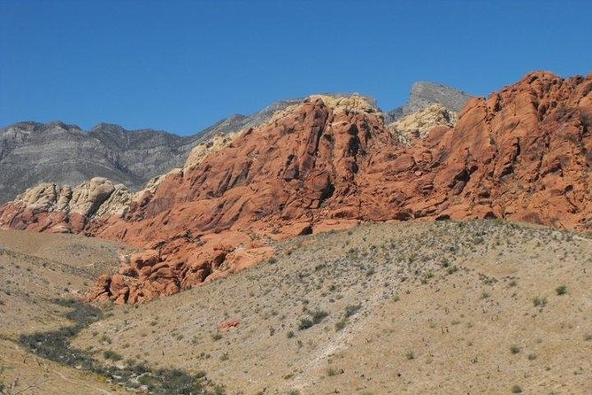 Guided Mountain Bike Tour of Mustang Trail in Red Rock Canyon - What the desert scenery adds