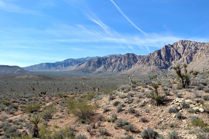 Guided Mountain Bike Tour of Mustang Trail in Red Rock Canyon - A guide who watches your pace