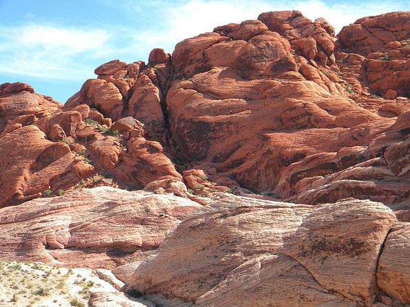 Guided Mountain Bike Tour of Mustang Trail in Red Rock Canyon - Is the $149.99 price fair?