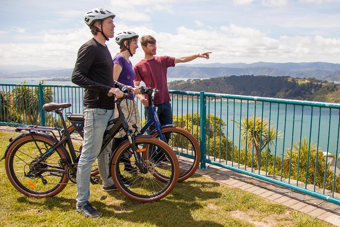 Guided Wellington Tour by Electric Bike - Key points to know before you ride
