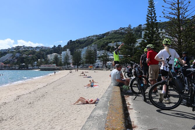 Guided Wellington Tour by Electric Bike - The Zephyrometer and a high lookout at Maupuia