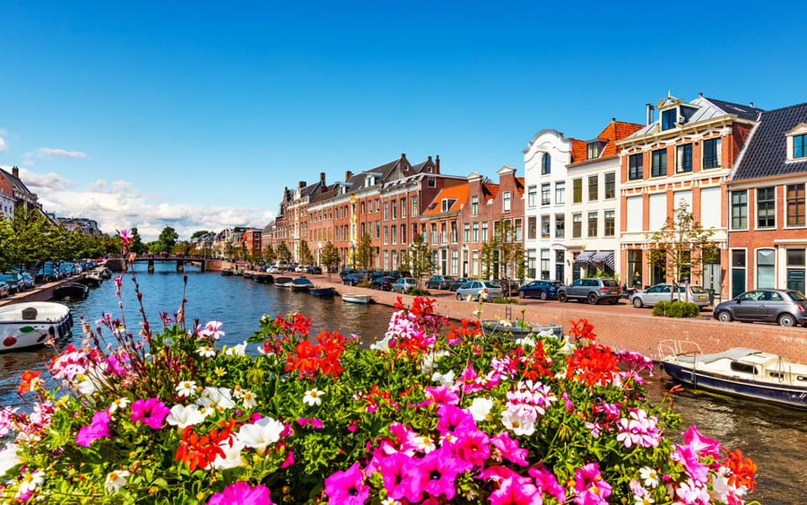 Haarlem Highlights Bike Tour - A practical way to fit it into your day