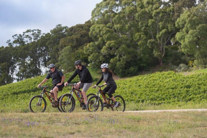 Hahndorf food and wine E-Bike Tour - Key points to know before you book