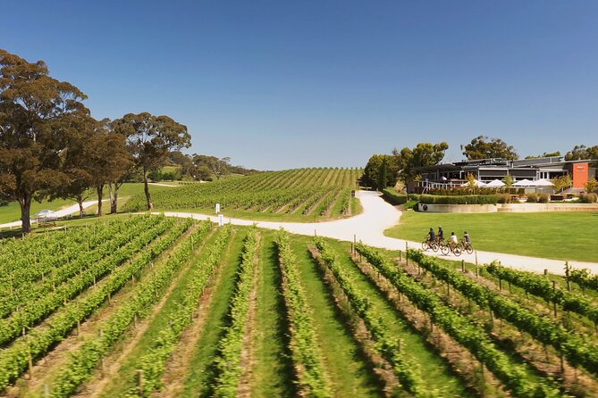 Hahndorf food and wine E-Bike Tour - Shaw and Smith provides the main wine flight