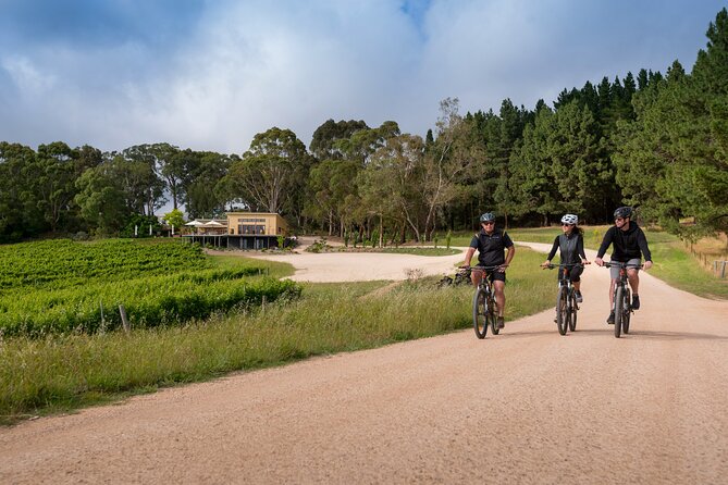 Hahndorf food and wine E-Bike Tour - What the $182.90 price gives you