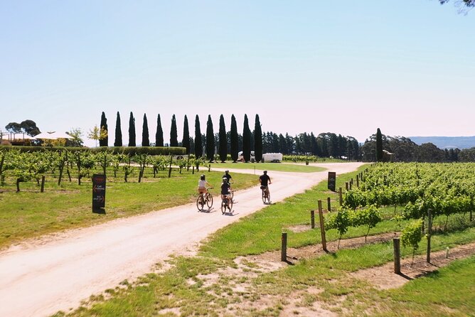 Hahndorf food and wine E-Bike Tour - How difficult is the riding?