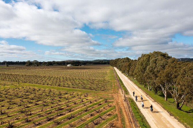 Hahndorf food and wine E-Bike Tour - Beerenberg brings the farm into the morning