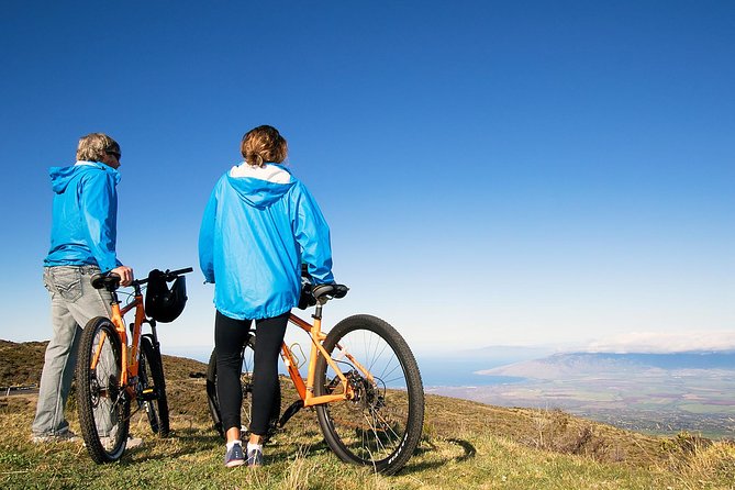 Haleakala Sunrise Best Guided Bike Tour with Bike Maui - Who should choose this Haleakala tour?