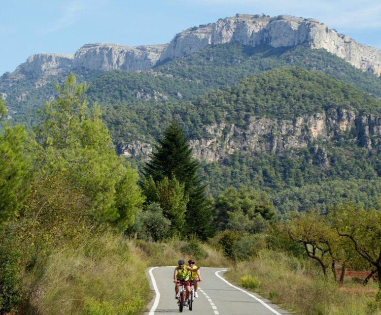 Half-Day Bike Tour from Salou - Why this is a smart change from the Salou beach routine