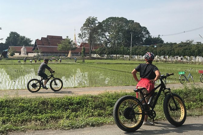 Half-day E-bike Countryside and rice paddies (flat land, GUIDED) - Food, snacks, and the return to base
