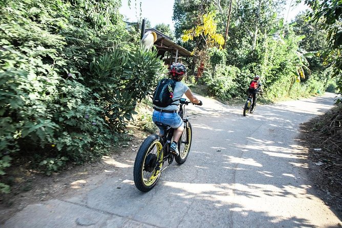 Half-day E-bike Countryside and rice paddies (flat land, GUIDED) - Is $50.52 a fair price?