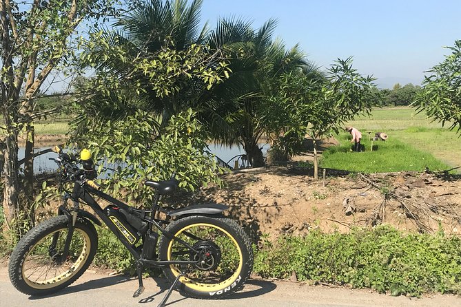 Half-day E-bike Countryside and rice paddies (flat land, GUIDED) - Who will enjoy this ride most