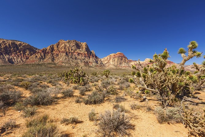 Half-Day Electric Bike Tour of Red Rock Canyon - Leaving Las Vegas behind at Treasure Island
