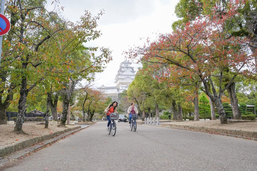 Half-day Himeji Castle Town Bike Tour with Lunch - Who should book this Himeji experience