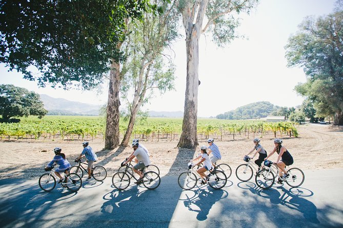 Half-Day Napa Winery E-Bike Tour - Why an e-bike works so well in Napa Valley