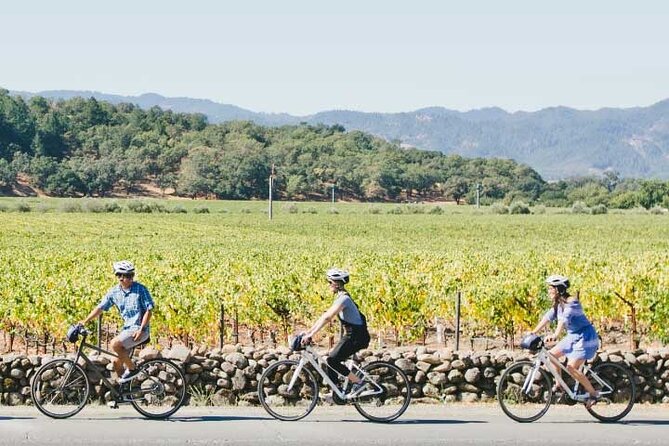 Half-Day Napa Winery E-Bike Tour - The winery visit, usually about 75 minutes