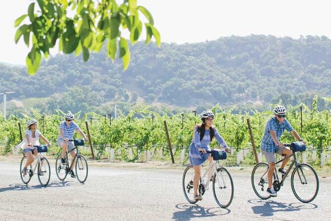 Half-Day Napa Winery E-Bike Tour - Tasting fees change the real cost